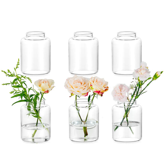 6 Pcs Glasseam Clear Glass Flower Vases Set for Home & Wedding Centrepiece Décor